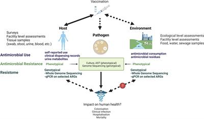 Measuring the Link Between Vaccines and Antimicrobial Resistance in Low Resource Settings – Limitations and Opportunities in Direct and Indirect Assessments and Implications for Impact Studies